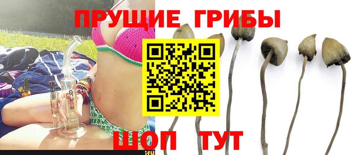 Псилоцибиновые грибы ЛСД Мыски