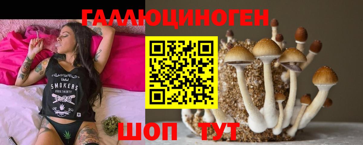 Мыски  Псилоцибиновые грибы мицелий  Вход с VPN  Галлюциногенные грибы мухоморы 